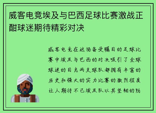 威客电竞埃及与巴西足球比赛激战正酣球迷期待精彩对决