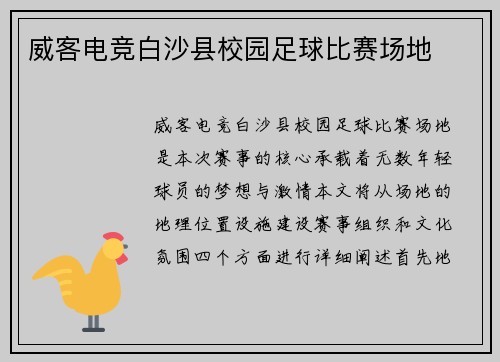 威客电竞白沙县校园足球比赛场地