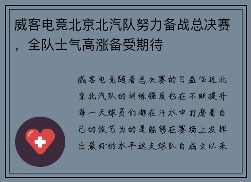 威客电竞北京北汽队努力备战总决赛，全队士气高涨备受期待