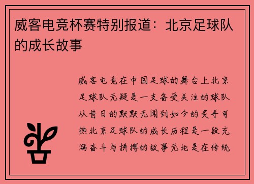 威客电竞杯赛特别报道：北京足球队的成长故事
