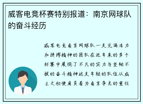 威客电竞杯赛特别报道：南京网球队的奋斗经历