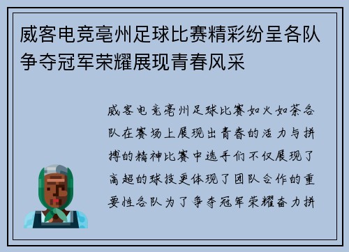 威客电竞亳州足球比赛精彩纷呈各队争夺冠军荣耀展现青春风采