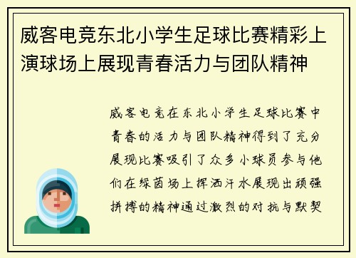威客电竞东北小学生足球比赛精彩上演球场上展现青春活力与团队精神