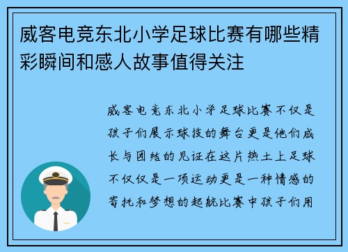威客电竞东北小学足球比赛有哪些精彩瞬间和感人故事值得关注