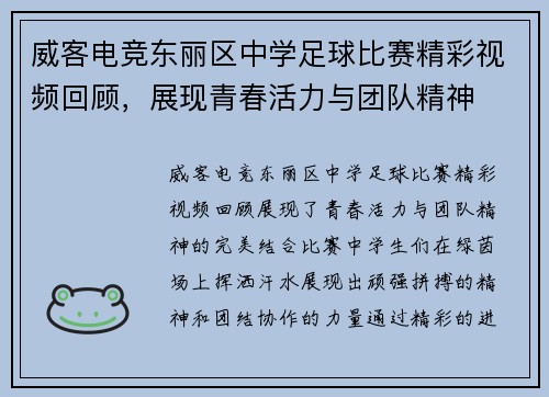 威客电竞东丽区中学足球比赛精彩视频回顾，展现青春活力与团队精神