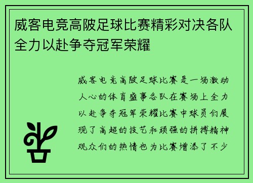 威客电竞高陂足球比赛精彩对决各队全力以赴争夺冠军荣耀