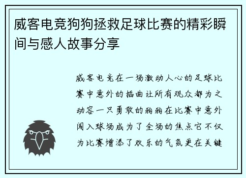 威客电竞狗狗拯救足球比赛的精彩瞬间与感人故事分享