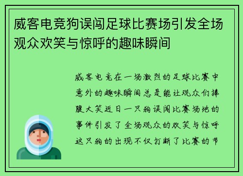 威客电竞狗误闯足球比赛场引发全场观众欢笑与惊呼的趣味瞬间