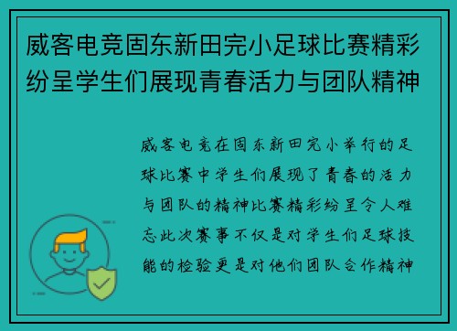 威客电竞固东新田完小足球比赛精彩纷呈学生们展现青春活力与团队精神