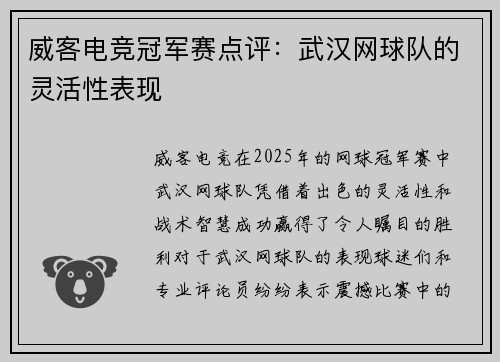 威客电竞冠军赛点评：武汉网球队的灵活性表现