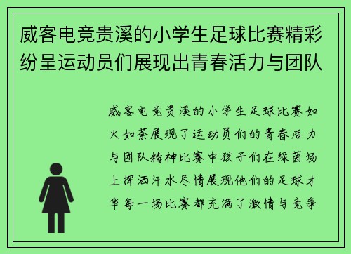 威客电竞贵溪的小学生足球比赛精彩纷呈运动员们展现出青春活力与团队精神