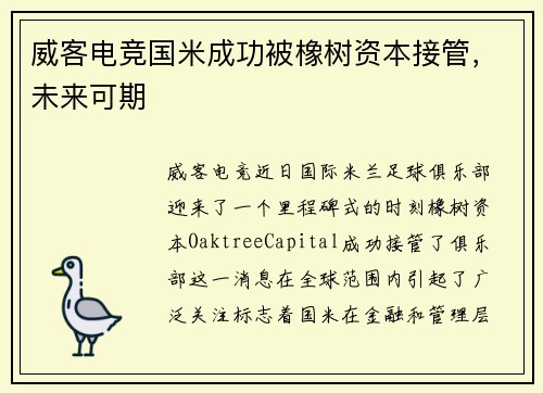 威客电竞国米成功被橡树资本接管，未来可期