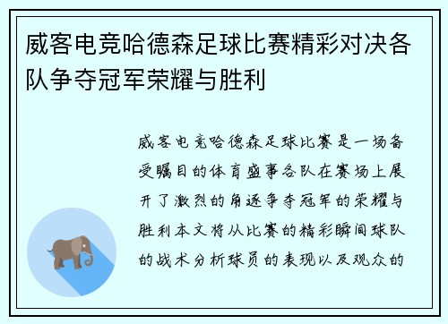 威客电竞哈德森足球比赛精彩对决各队争夺冠军荣耀与胜利