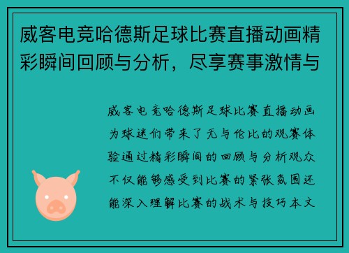 威客电竞哈德斯足球比赛直播动画精彩瞬间回顾与分析，尽享赛事激情与乐趣