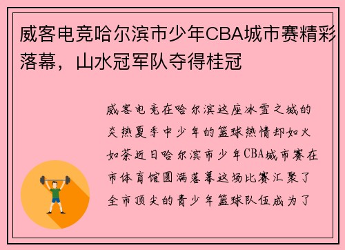 威客电竞哈尔滨市少年CBA城市赛精彩落幕，山水冠军队夺得桂冠