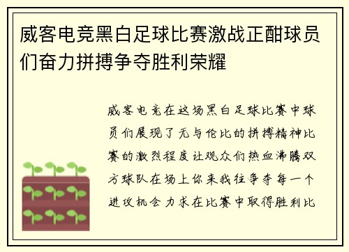 威客电竞黑白足球比赛激战正酣球员们奋力拼搏争夺胜利荣耀