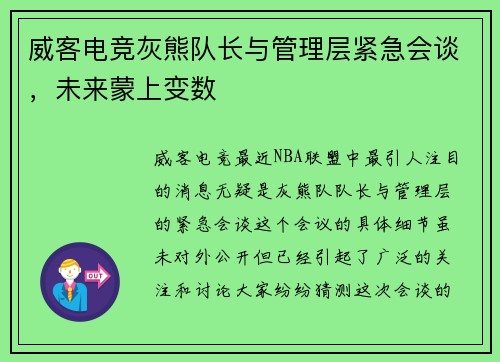威客电竞灰熊队长与管理层紧急会谈，未来蒙上变数