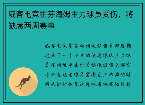 威客电竞霍芬海姆主力球员受伤，将缺席两周赛事