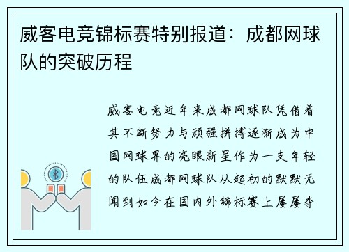 威客电竞锦标赛特别报道：成都网球队的突破历程