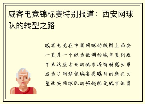 威客电竞锦标赛特别报道：西安网球队的转型之路