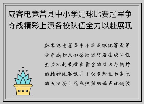 威客电竞莒县中小学足球比赛冠军争夺战精彩上演各校队伍全力以赴展现风采