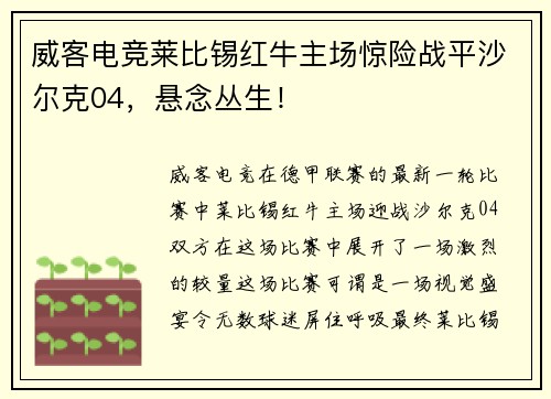 威客电竞莱比锡红牛主场惊险战平沙尔克04，悬念丛生！
