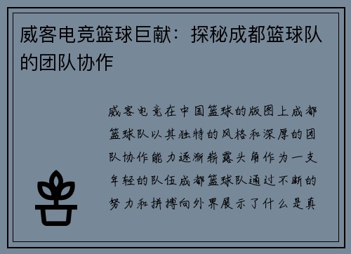 威客电竞篮球巨献：探秘成都篮球队的团队协作