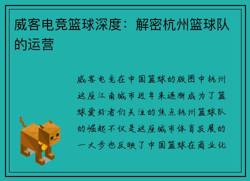 威客电竞篮球深度：解密杭州篮球队的运营