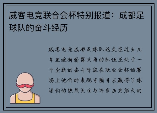 威客电竞联合会杯特别报道：成都足球队的奋斗经历