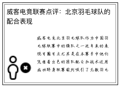 威客电竞联赛点评：北京羽毛球队的配合表现