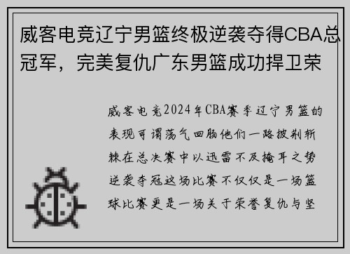 威客电竞辽宁男篮终极逆袭夺得CBA总冠军，完美复仇广东男篮成功捍卫荣誉