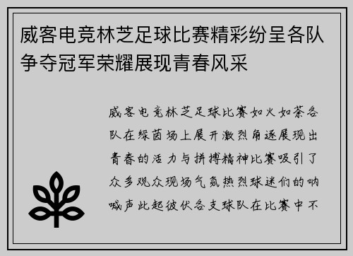 威客电竞林芝足球比赛精彩纷呈各队争夺冠军荣耀展现青春风采