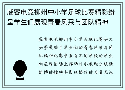 威客电竞柳州中小学足球比赛精彩纷呈学生们展现青春风采与团队精神