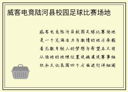 威客电竞陆河县校园足球比赛场地