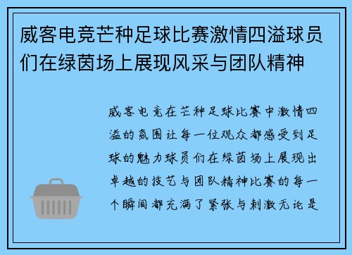 威客电竞芒种足球比赛激情四溢球员们在绿茵场上展现风采与团队精神