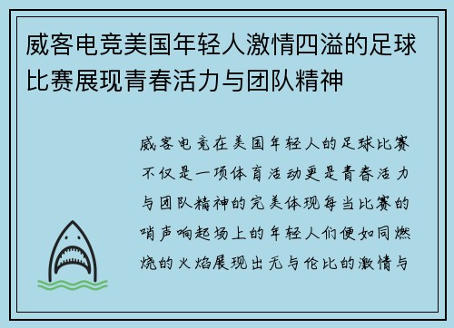 威客电竞美国年轻人激情四溢的足球比赛展现青春活力与团队精神