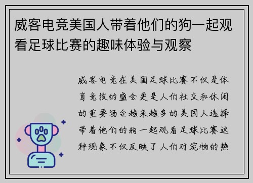 威客电竞美国人带着他们的狗一起观看足球比赛的趣味体验与观察