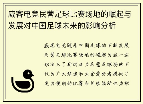 威客电竞民营足球比赛场地的崛起与发展对中国足球未来的影响分析