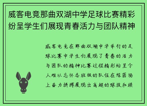 威客电竞那曲双湖中学足球比赛精彩纷呈学生们展现青春活力与团队精神
