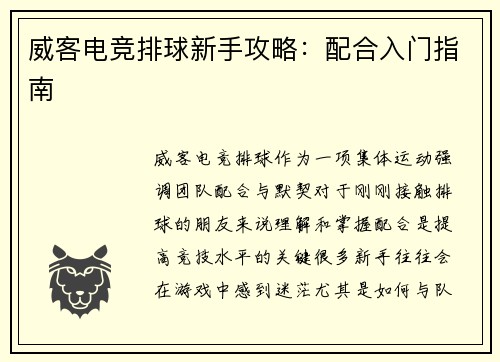 威客电竞排球新手攻略：配合入门指南