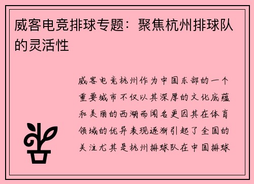 威客电竞排球专题：聚焦杭州排球队的灵活性