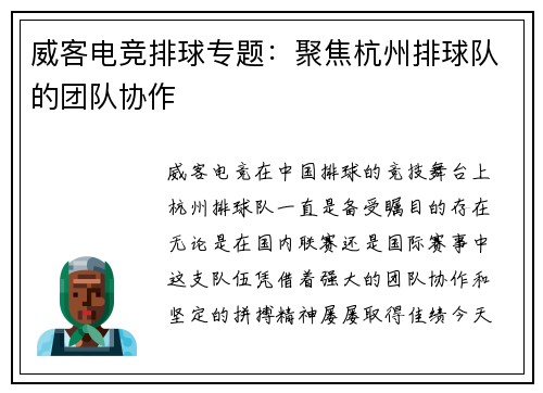 威客电竞排球专题：聚焦杭州排球队的团队协作
