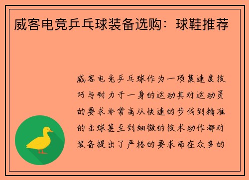 威客电竞乒乓球装备选购：球鞋推荐