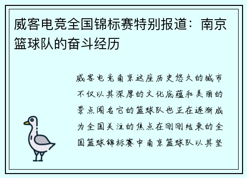 威客电竞全国锦标赛特别报道：南京篮球队的奋斗经历