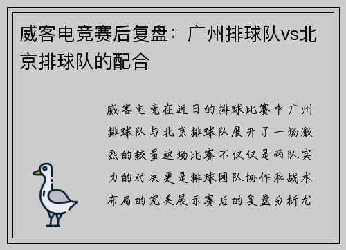 威客电竞赛后复盘：广州排球队vs北京排球队的配合