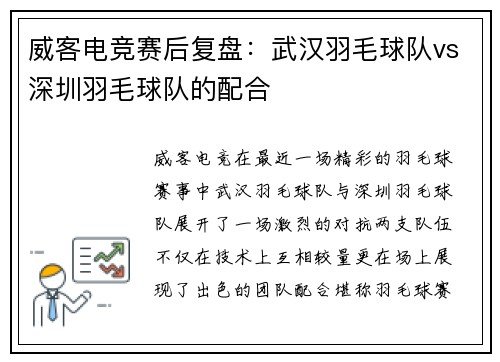 威客电竞赛后复盘：武汉羽毛球队vs深圳羽毛球队的配合