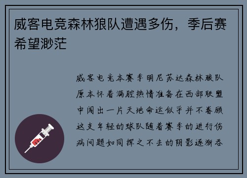 威客电竞森林狼队遭遇多伤，季后赛希望渺茫