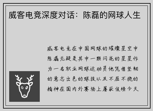 威客电竞深度对话：陈磊的网球人生