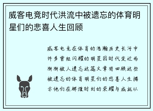 威客电竞时代洪流中被遗忘的体育明星们的悲喜人生回顾