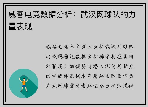 威客电竞数据分析：武汉网球队的力量表现